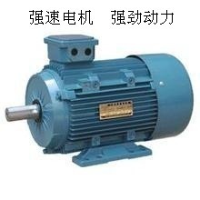 國(guó)標(biāo)全銅線，動(dòng)力強(qiáng)勁之選 臺(tái)州強(qiáng)速Y180L-6 15KW三相異步電動(dòng)機(jī)深度解析